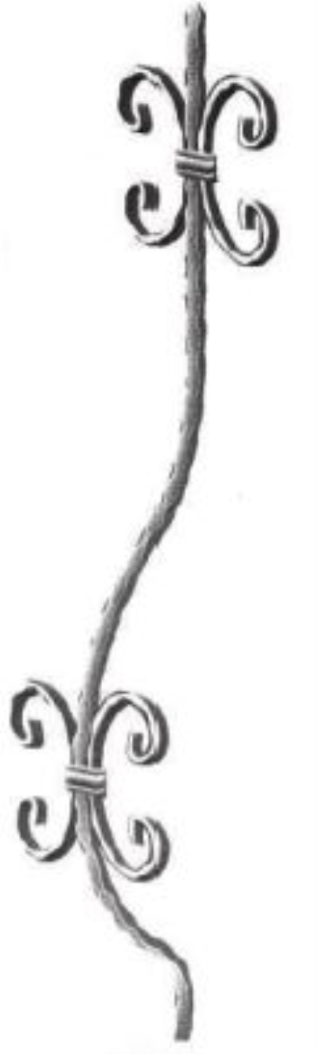 NR 4019