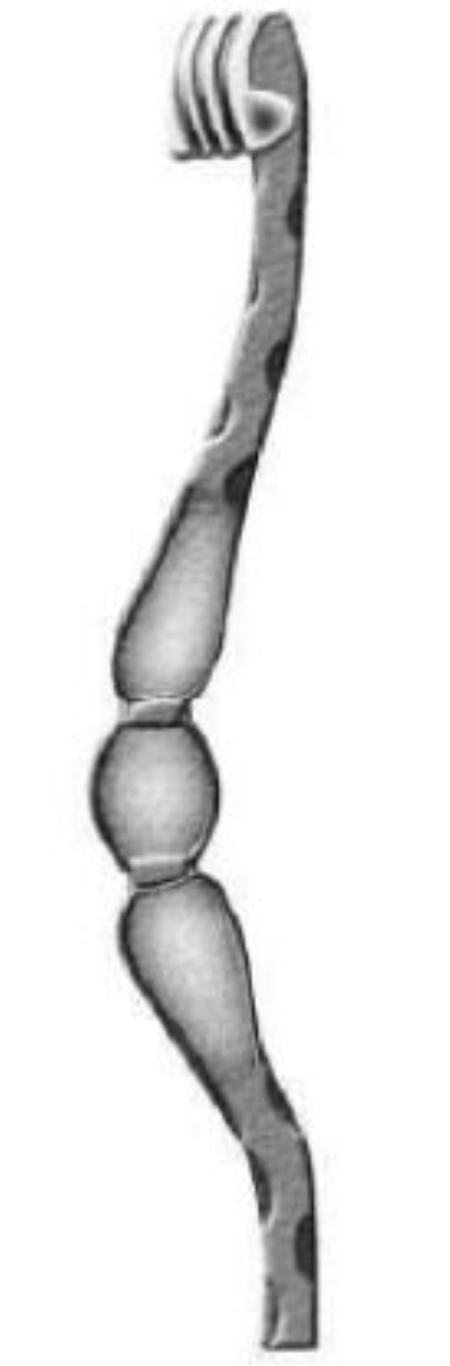 NR 4046