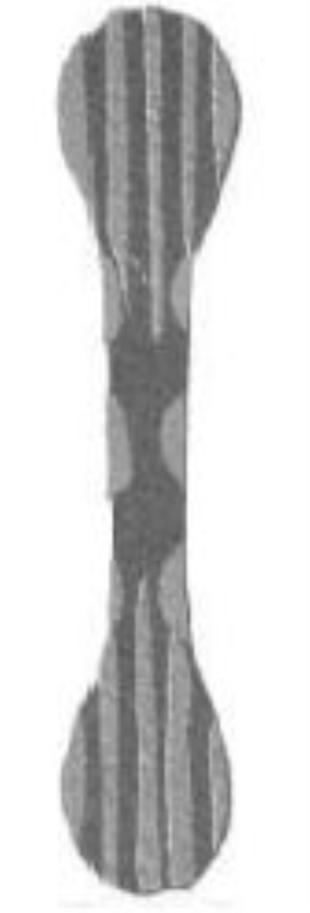 NR 5510